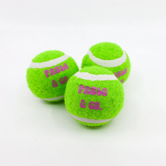 Pack of 3 Squeaky Balls