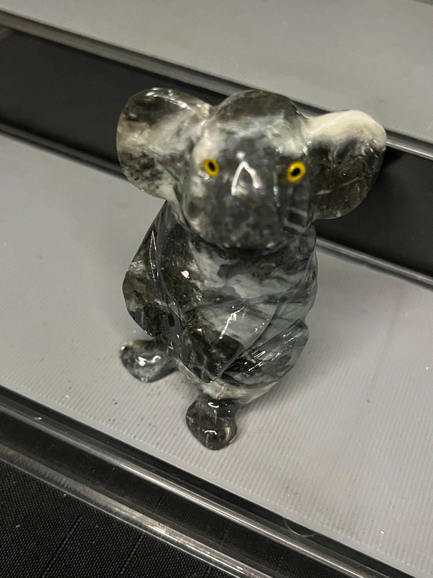 Koala